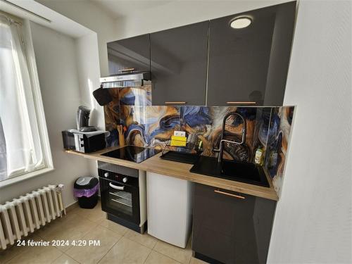 - une cuisine avec un comptoir dans une pièce dans l'établissement Studios Immostrasbourg - hébergements de tourisme classés proche centre et Conseil d'Europe, à Strasbourg
