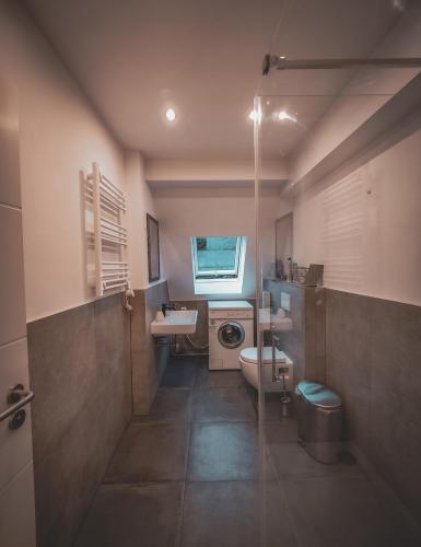uma casa de banho com um WC, um lavatório e um chuveiro em Feeling Good em Koblenz