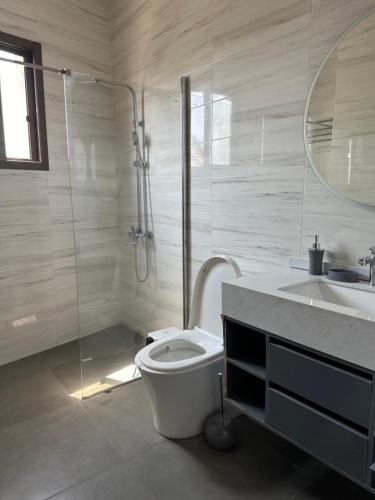 a bathroom with a toilet and a shower and a sink at Ultra Moderne appart centre Ville in Lomé