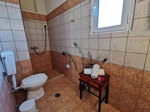 a bathroom with a toilet and a shower and a table at Amazing house Erato in front of the Sea - South Creta in Paránimfoi