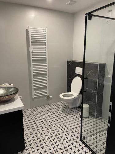 a bathroom with a toilet and a glass shower at Rado Apartments in Svit