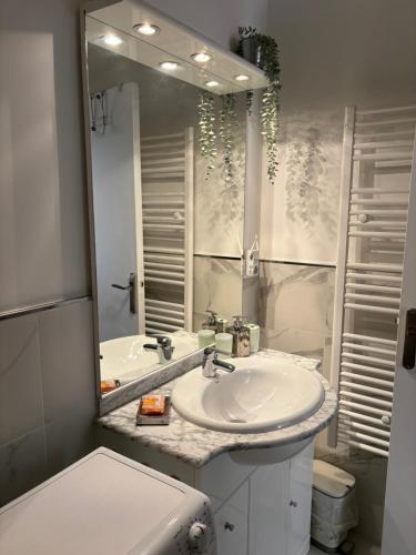 een badkamer met een wastafel, een toilet en een spiegel bij Studio jardin 5 mn plage Monaco Air Conditioner in Beausoleil