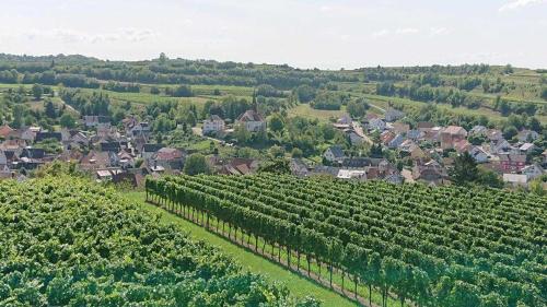 una vista aérea de un viñedo y una localidad en Ferien im Heckenland, en Kenzingen