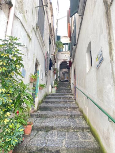 Φωτογραφία από το άλμπουμ του Il Borgo Vietrese σε Βιέτρι