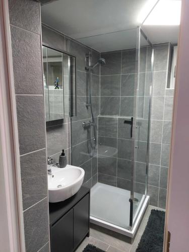 a bathroom with a glass shower and a sink at Fewo Grünberg in Bad Nenndorf