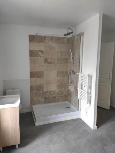 ein Bad mit einer Dusche und einem Waschbecken in der Unterkunft Appartement - Vendôme in Vendôme