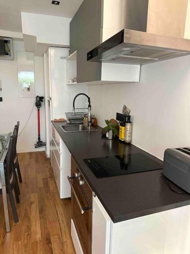 une cuisine avec un évier et un plan de travail dans l'établissement 2 pièces calme sur jardin, Centre Ville, à Boulogne-Billancourt