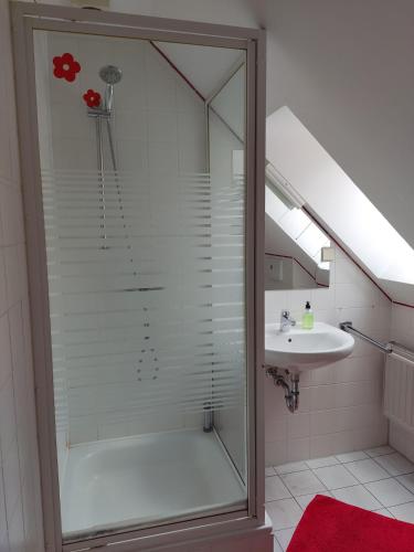 a shower with a glass door next to a sink at Landhof Trittelwitz in Schönfeld