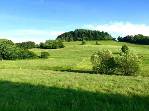 zielone pole z drzewami w oddali w obiekcie Ferienhaus Eifeltraum Magma w mieście Berlingen