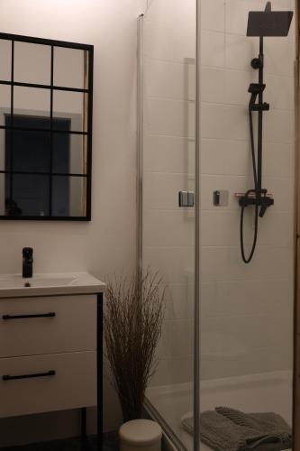 ein Bad mit einer Dusche, einem Waschbecken und einem Spiegel in der Unterkunft Finken Lodge in Buckow