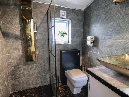 ein Bad mit einem Waschbecken, einem WC und einer Dusche in der Unterkunft Apartment 1 in Chester