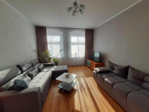 a living room with a couch and a table at Apartament pod Dębem in Dąbki