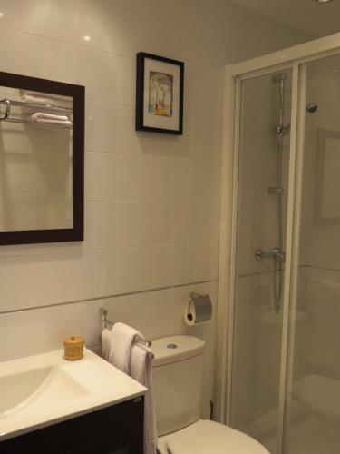 a bathroom with a toilet and a sink and a shower at Apartamentos Turisticos Ca Ramon in Beniarrés