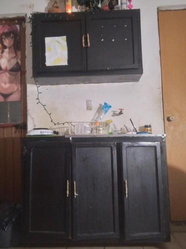 eine Küche mit schwarzen Schränken in einem Zimmer in der Unterkunft Pedro Montoya Zona Centro in San Luis Potosí
