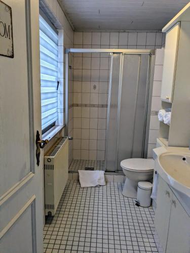 a bathroom with a shower and a toilet and a sink at Hexenhaus in Sankt Wendel