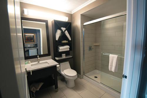 a bathroom with a toilet and a sink and a shower at Elmhurst Inn & Spa in Ingersoll