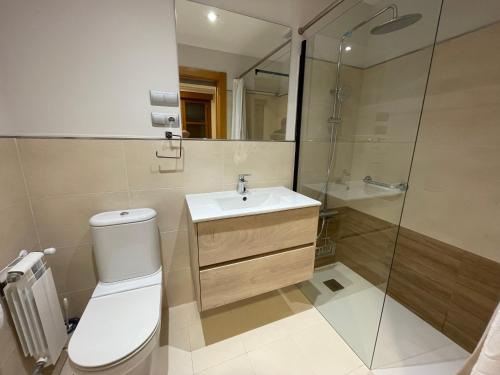 y baño con aseo, lavabo y ducha. en Apartamento con piscina VIESQUES, en Gijón