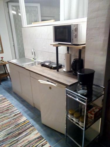 a kitchen with a sink and a microwave at Brachelen in Hückelhoven