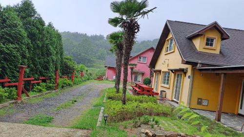 a house with a palm tree next to a dirt road at Santa Monica Pension in Kokhae