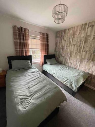 a bedroom with two beds and a chandelier at Spacious 4 bedroom house with large garden in Belfast