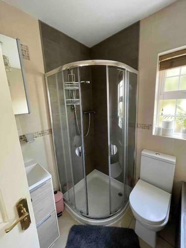 a bathroom with a shower and a toilet at Spacious 4 bedroom house with large garden in Belfast