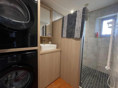 uma pequena casa de banho com uma máquina de lavar roupa e um lavatório em Maison Vallon-Pont-d'Arc, 4 pièces, 8 personnes - FR-1-382-206 em Vallon-Pont-dʼArc