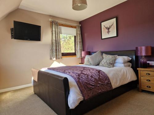 a bedroom with a large bed with purple walls at Croft 17 in Ullapool