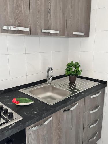 een keuken met een wastafel en een plant op een aanrecht bij Pamir Casa Vacanze Appartamento in Trapani