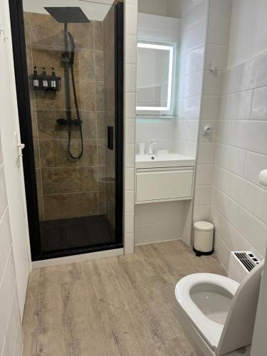une salle de bain avec une douche, un lavabo et des toilettes dans l'établissement Toits du vieux port, à Cannes