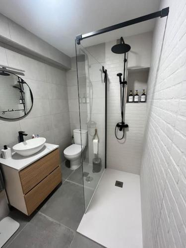 a bathroom with a shower and a sink and a toilet at Piso recién reformado en el centro de Santander, zona estaciones in Santander