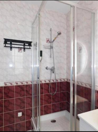une douche avec une porte vitrée dans une salle de bain dans l'établissement Beau T1 bis centre Juan les pins, à Antibes