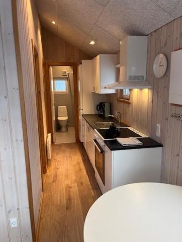 a small kitchen with a sink and a toilet at Storebælt camping in Korsør