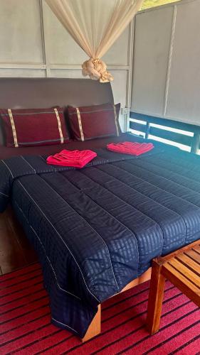 Gallery image of A Lounge Hostel And Cafe in Ella