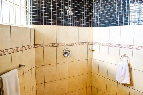 a bathroom with a shower with a white towel at Villa Antoinette in Gros Islet