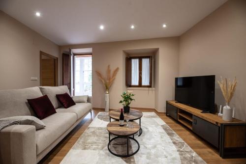 ein Wohnzimmer mit einem Sofa und einem Flachbild-TV in der Unterkunft EREA in Monforte de Lemos