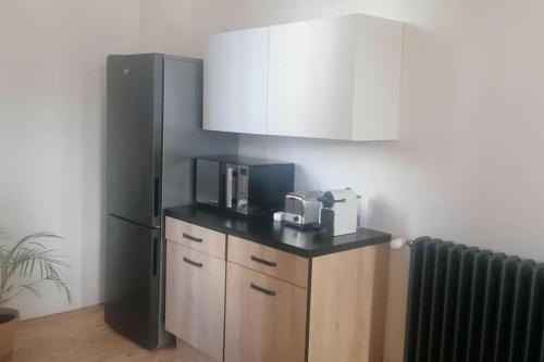 uma cozinha com um frigorífico e um balcão com um micro-ondas em Appart cœur de ville belle vue em Vichy