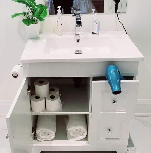 a bathroom vanity with a white sink with rolls of toilet paper at Executive Room in Toronto next to Yorkdale shopping centre in Toronto