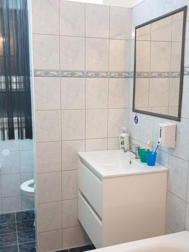 a bathroom with a sink and a mirror at Green Apartman Salgótarján in Salgótarján