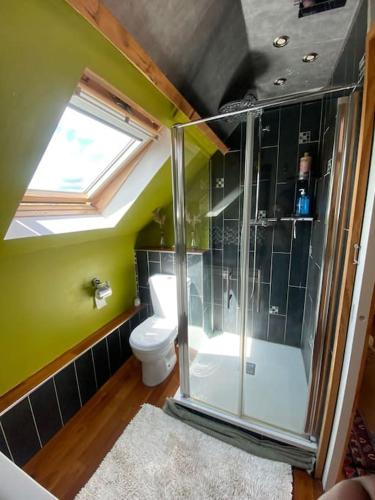 une salle de bain avec douche, toilettes et fenêtre dans l'établissement Villa dans son écrin de verdure, piscine privée, totalement privée, à Missy-sur-Aisne