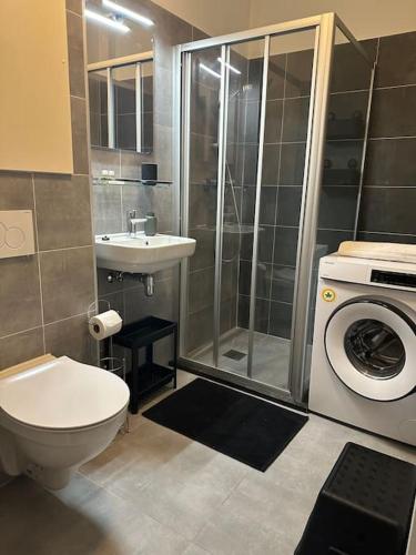 a bathroom with a toilet sink and a washing machine at Serenity Residence in The Hague