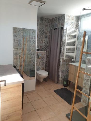 a bathroom with a toilet and a shower and a sink at Luciole des Alpilles in Mouriès