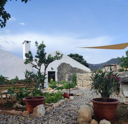 a garden with potted plants in front of a white building at Vivenda Montanha - Relax in Nature in Alcaria