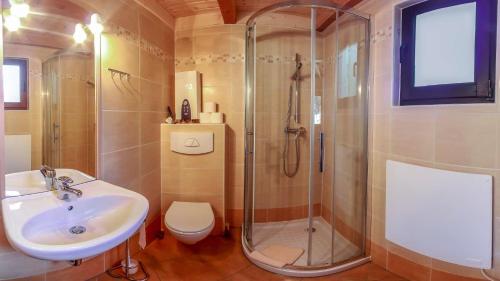 ein Bad mit einer Dusche, einem Waschbecken und einem WC in der Unterkunft Landgasthof Probstei Zella in Frankenroda