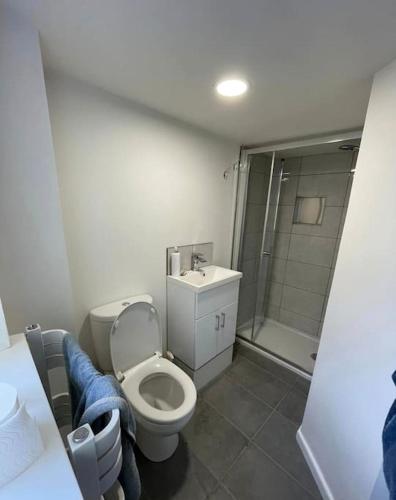 y baño con aseo, lavabo y ducha. en Ground floor basement apartment in Ebbw Vale en Ebbw Vale
