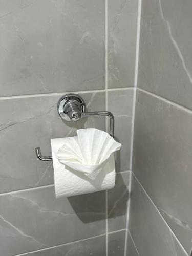 a roll of toilet paper in a holder in a shower at Birmingham Bliss Central 5-Bed Escape in Birmingham