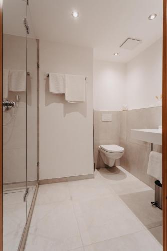 a bathroom with a shower and a toilet and a sink at Hirschenwirt in Eichstätt