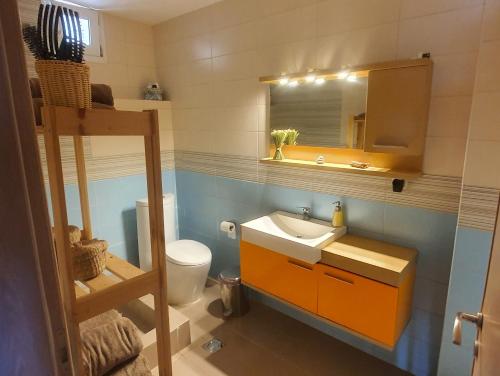 a bathroom with a sink and a toilet and a mirror at Traditional Stone House in Kissos Pelion in Kissós