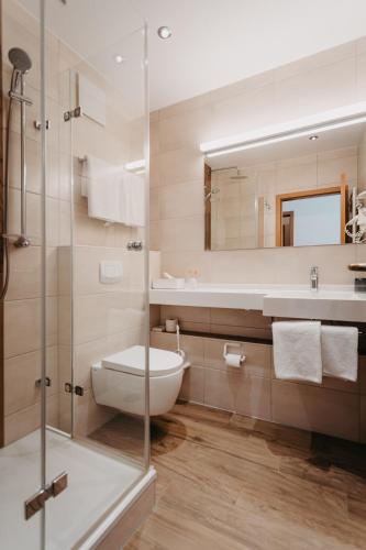a bathroom with a toilet and a sink and a shower at Hirschenwirt in Eichstätt