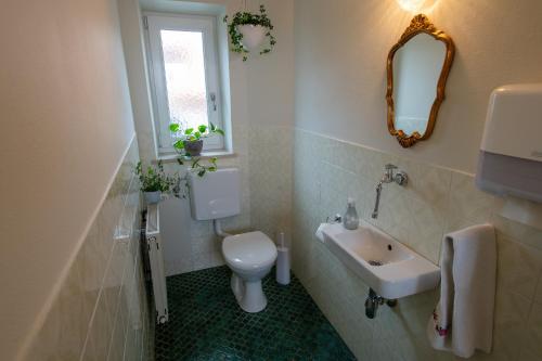 a bathroom with a toilet and a sink and a mirror at Gästehaus Nigglhof in Rimsting