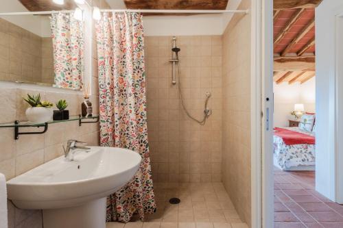 a bathroom with a sink and a shower at Casa Noscali al Borghetto in Collodi